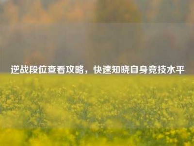 逆战段位查看攻略，快速知晓自身竞技水平