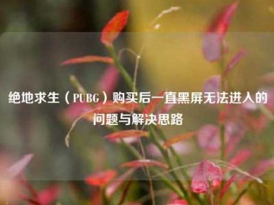 绝地求生（PUBG）购买后一直黑屏无法进入的问题与解决思路