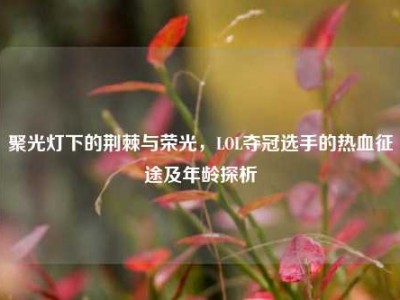 聚光灯下的荆棘与荣光，LOL夺冠选手的热血征途及年龄探析