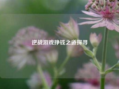 逆战游戏挣钱之道探寻