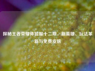 探秘王者荣耀体验服十二期，新英雄、玩法革新与免费皮肤