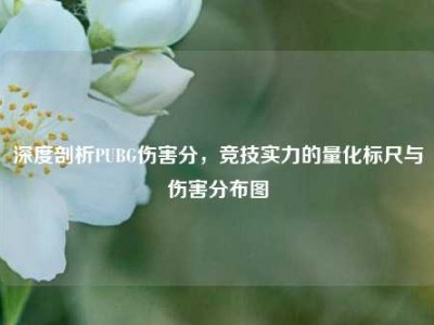 深度剖析PUBG伤害分，竞技实力的量化标尺与伤害分布图