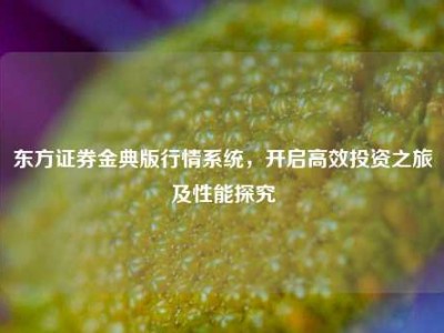 东方证券金典版行情系统，开启高效投资之旅及性能探究