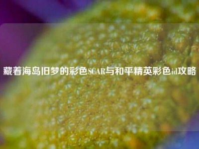 藏着海岛旧梦的彩色SCAR与和平精英彩色id攻略