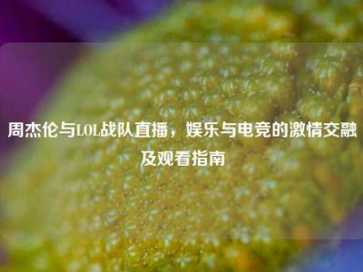 周杰伦与LOL战队直播，娱乐与电竞的激情交融及观看指南