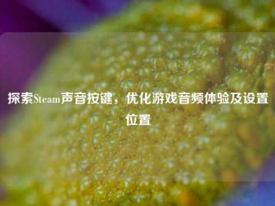 探索Steam声音按键，优化游戏音频体验及设置位置