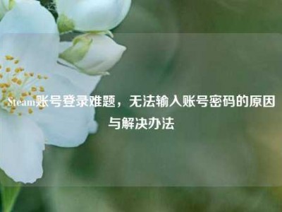 Steam账号登录难题，无法输入账号密码的原因与解决办法