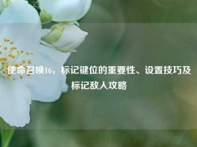 使命召唤16，标记键位的重要性、设置技巧及标记敌人攻略