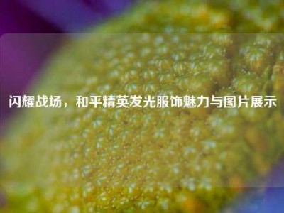 闪耀战场，和平精英发光服饰魅力与图片展示