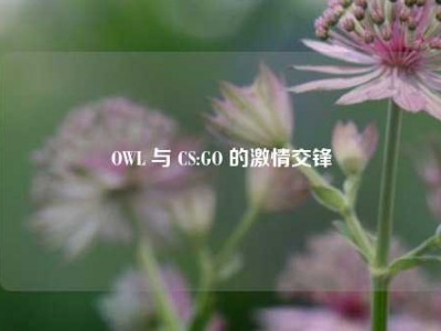 OWL 与 CS:GO 的激情交锋