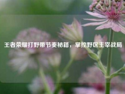 王者荣耀打野带节奏秘籍，掌控野区主宰战局