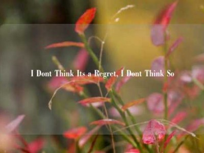 I Dont Think Its a Regret, I Dont Think So