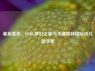星辰紫色、PUBG梦幻之旅与天津格林国际幼儿园学费
