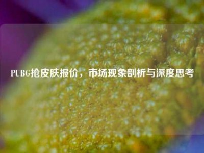 PUBG抢皮肤报价，市场现象剖析与深度思考