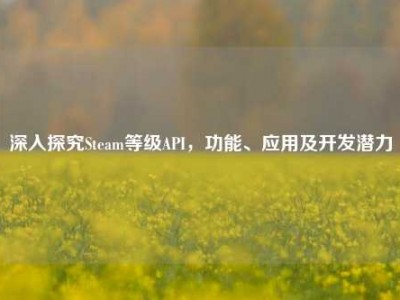 深入探究Steam等级API，功能、应用及开发潜力