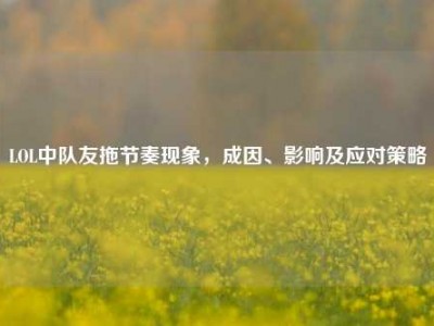 LOL中队友拖节奏现象，成因、影响及应对策略