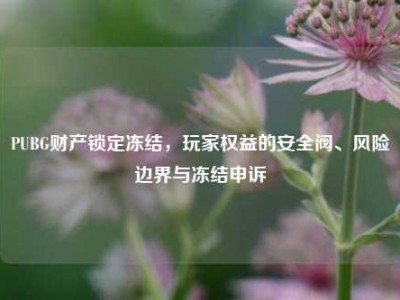 PUBG财产锁定冻结，玩家权益的安全阀、风险边界与冻结申诉