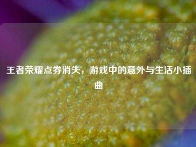 王者荣耀点券消失，游戏中的意外与生活小插曲