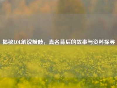 揭秘LOL解说鼓鼓，真名背后的故事与资料探寻