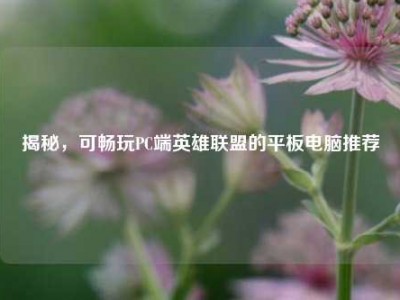 揭秘，可畅玩PC端英雄联盟的平板电脑推荐