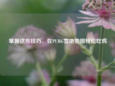 掌握这些技巧，在PUBG雪地地图轻松吃鸡