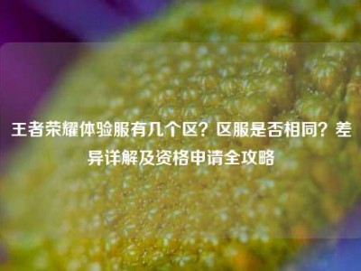 王者荣耀体验服有几个区？区服是否相同？差异详解及资格申请全攻略