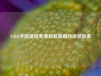 CSGO手游皮肤免费获取真相与途径探索