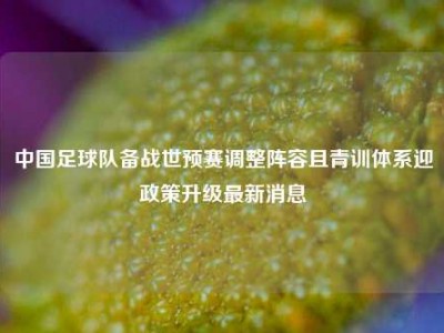 中国足球队备战世预赛调整阵容且青训体系迎政策升级最新消息