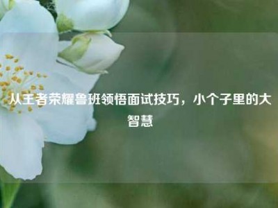 从王者荣耀鲁班领悟面试技巧，小个子里的大智慧