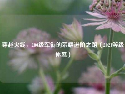 穿越火线，200级军衔的荣耀进阶之路（2021等级体系）