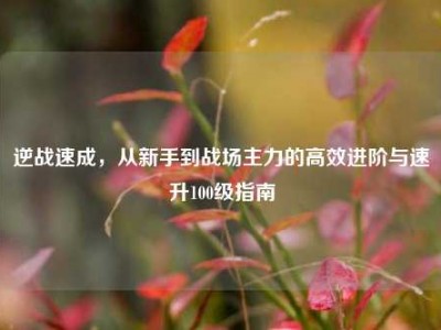 逆战速成，从新手到战场主力的高效进阶与速升100级指南