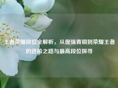 王者荣耀段位全解析，从倔强青铜到荣耀王者的进阶之路与最高段位探寻