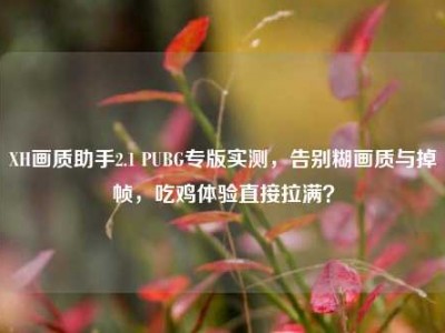 XH画质助手2.1 PUBG专版实测，告别糊画质与掉帧，吃鸡体验直接拉满？