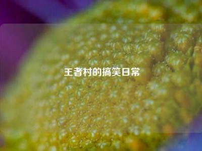 王者村的搞笑日常