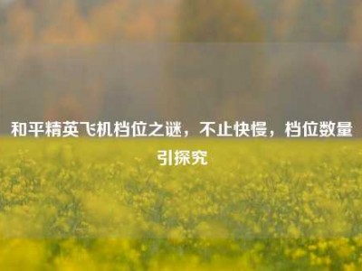 和平精英飞机档位之谜，不止快慢，档位数量引探究