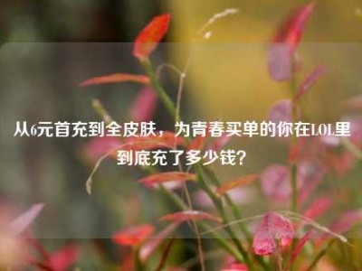 从6元首充到全皮肤，为青春买单的你在LOL里到底充了多少钱？