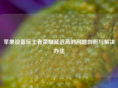 苹果设备玩王者荣耀延迟高的问题剖析与解决办法