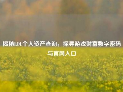 揭秘LOL个人资产查询，探寻游戏财富数字密码与官网入口