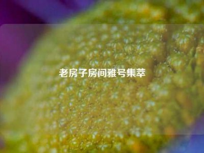 老房子房间雅号集萃