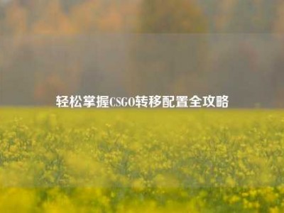 轻松掌握CSGO转移配置全攻略