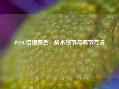 PUBG倍镜颜色，战术细节与调节方法
