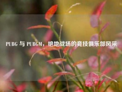 PUBG 与 PUBGM，绝地战场的竞技俱乐部风采