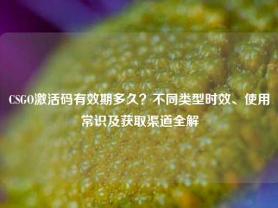 CSGO激活码有效期多久？不同类型时效、使用常识及获取渠道全解