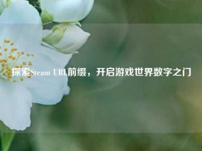 探索Steam URL前缀，开启游戏世界数字之门