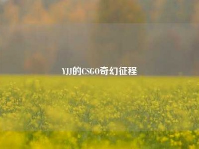 YJJ的CSGO奇幻征程
