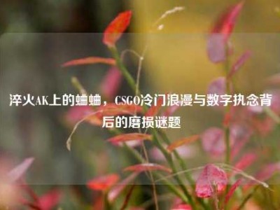 淬火AK上的蛐蛐，CSGO冷门浪漫与数字执念背后的磨损谜题