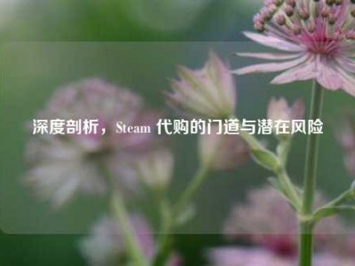 深度剖析，Steam 代购的门道与潜在风险