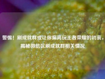 警惕！刷成就群或让你偏离玩王者荣耀的初衷，揭秘微信区刷成就群相关情况