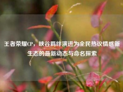 王者荣耀CP，峡谷羁绊演进为全民热议情感新生态的最新动态与命名探索