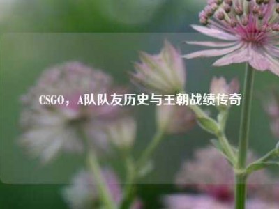 CSGO，A队队友历史与王朝战绩传奇